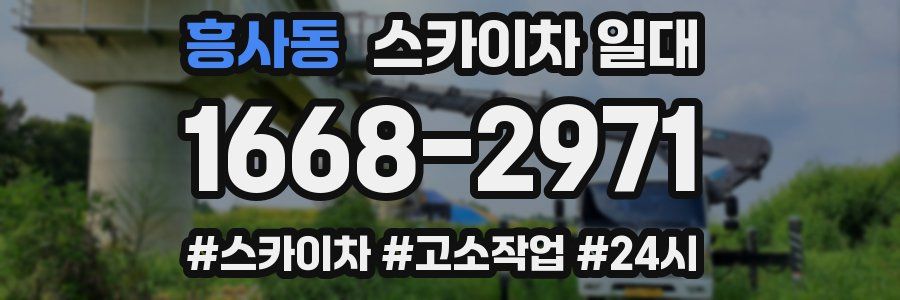 흥사동 스카이차 일대