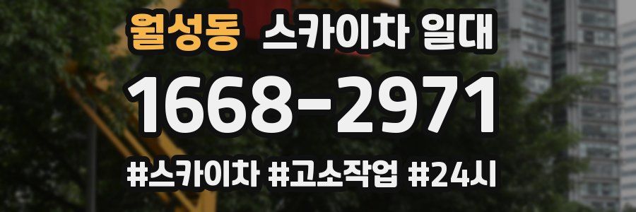 월성동 스카이차 일대