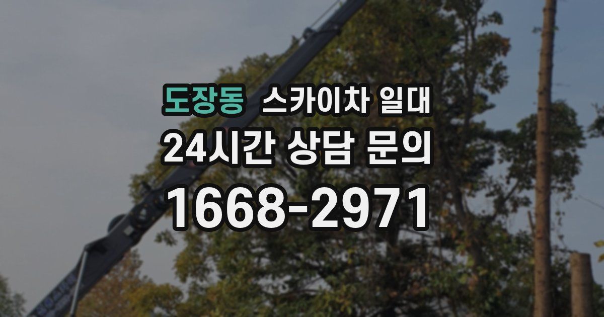 도장동 스카이차 일대