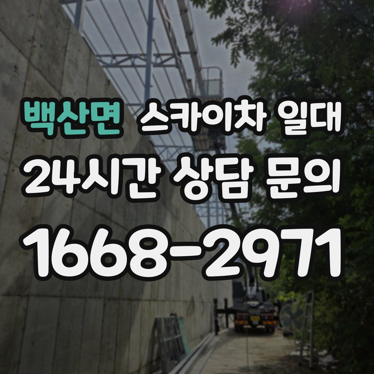 백산면 스카이차 일대