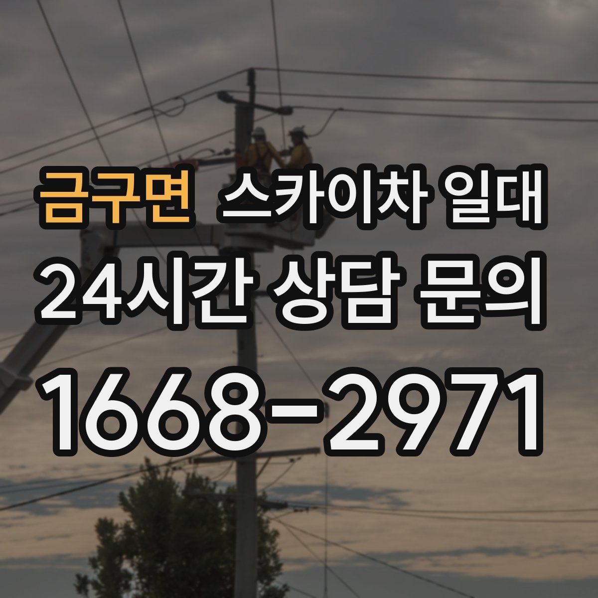 금구면 스카이차 일대