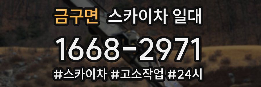 금구면 스카이차 일대