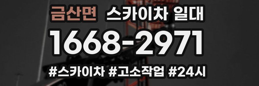 금산면 스카이차 일대