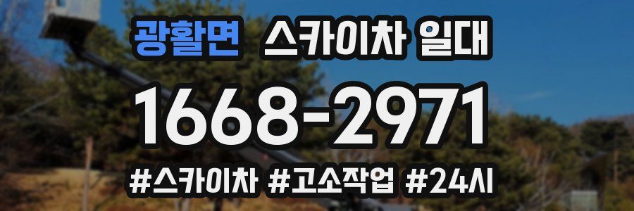 광활면 스카이차 일대