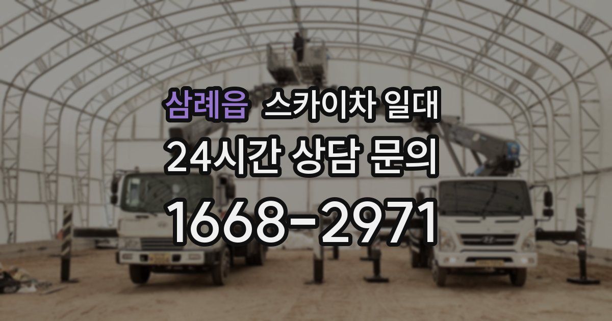 삼례읍 스카이차 일대