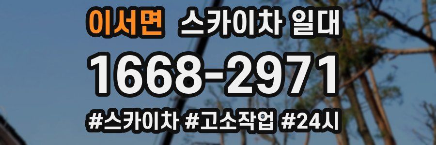 이서면 스카이차 일대