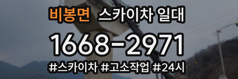 비봉면 스카이차 일대