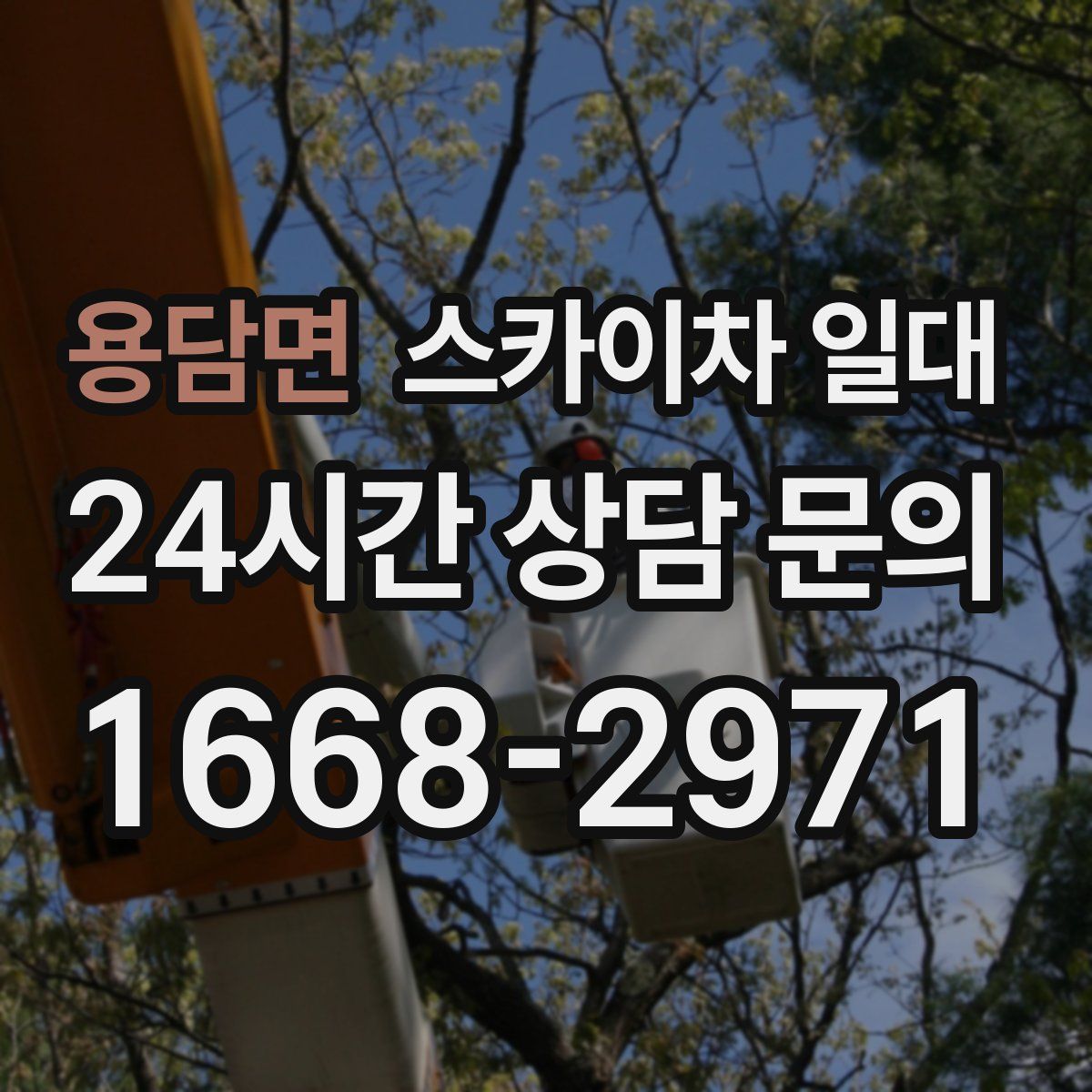 용담면 스카이차 일대