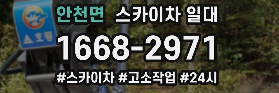 안천면 스카이차 일대