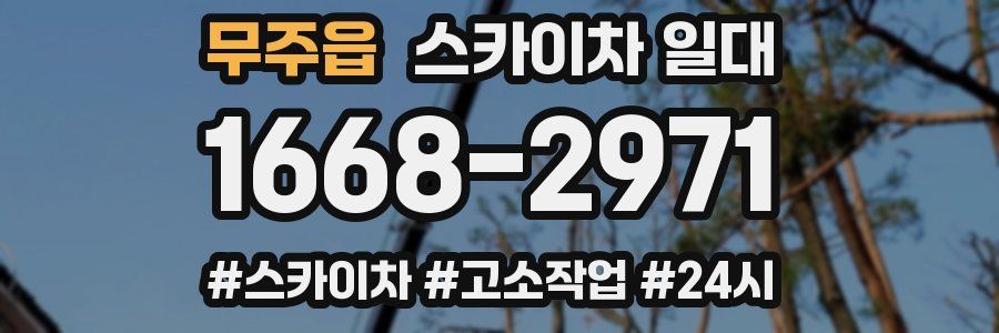 무주읍 스카이차 일대