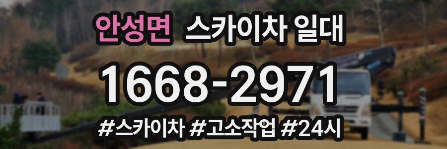안성면 스카이차 일대