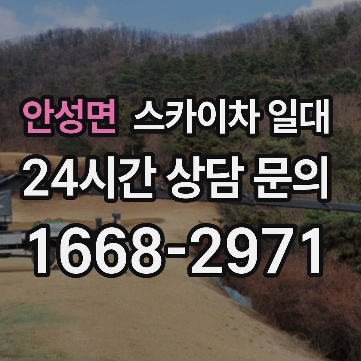 안성면 스카이차 일대