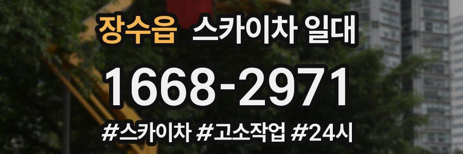 장수읍 스카이차 일대