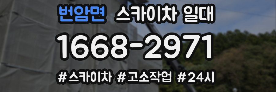 번암면 스카이차 일대