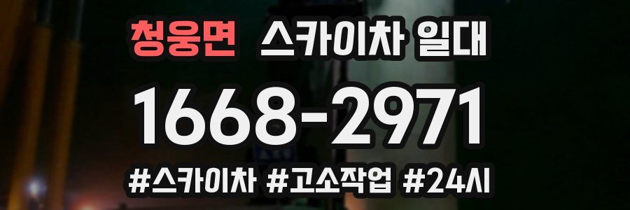 청웅면 스카이차 일대