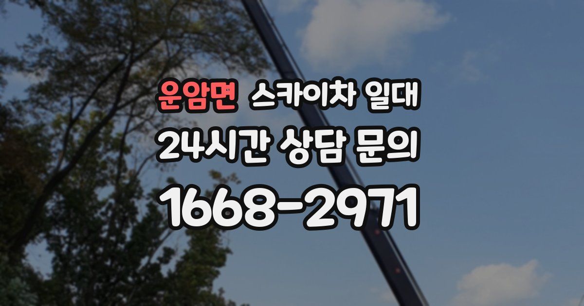 운암면 스카이차 일대