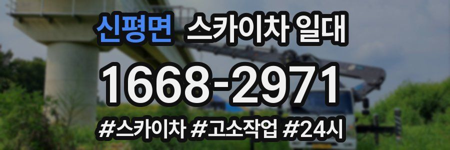 신평면 스카이차 일대