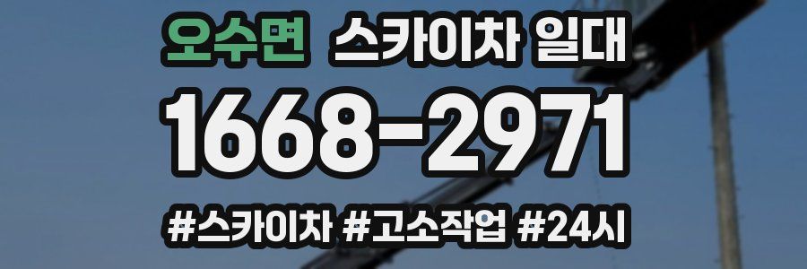 오수면 스카이차 일대