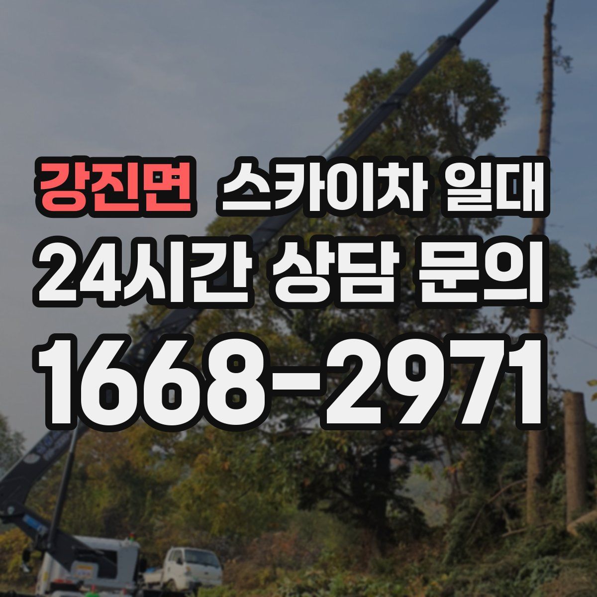 강진면 스카이차 일대