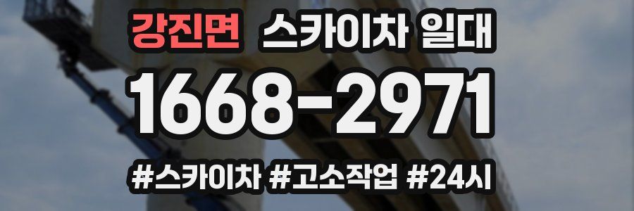 강진면 스카이차 일대
