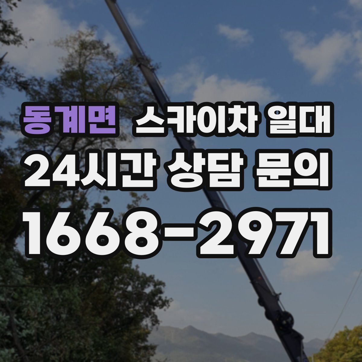 동계면 스카이차 일대