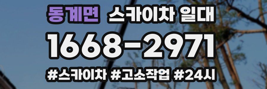 동계면 스카이차 일대