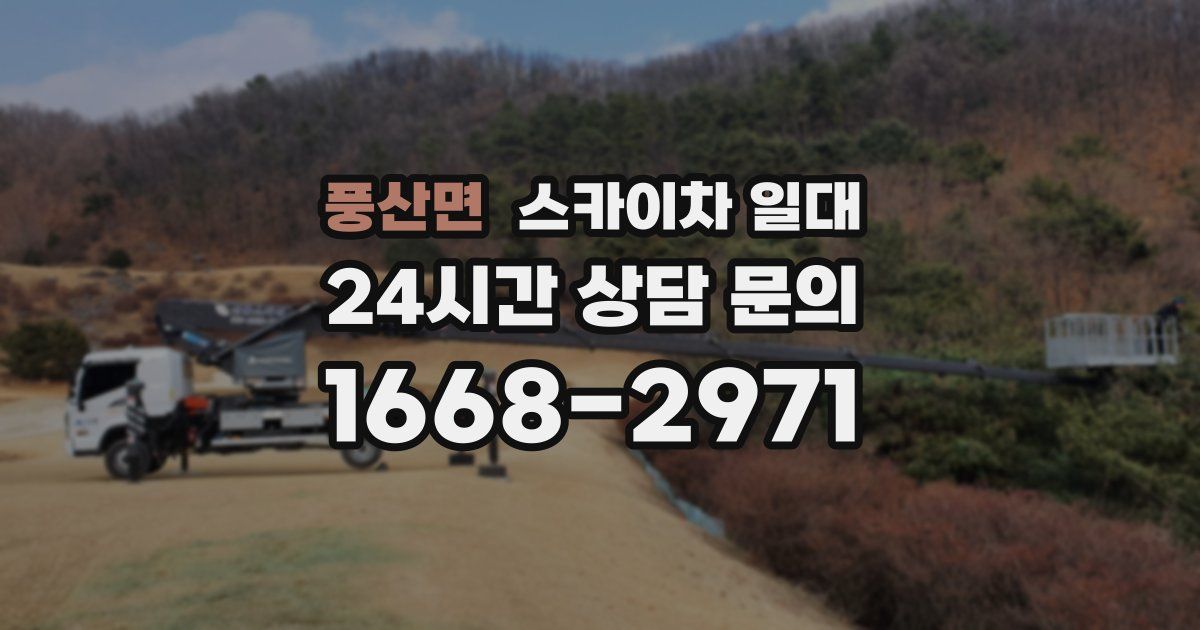 풍산면 스카이차 일대