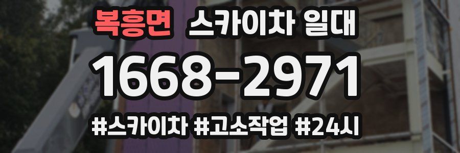 복흥면 스카이차 일대