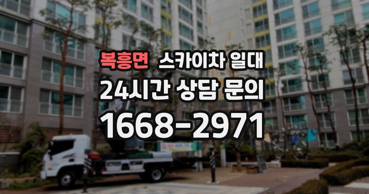 복흥면 스카이차 일대