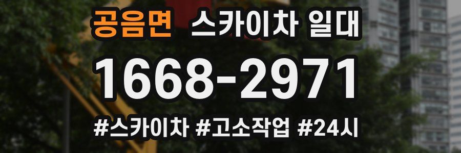 공음면 스카이차 일대