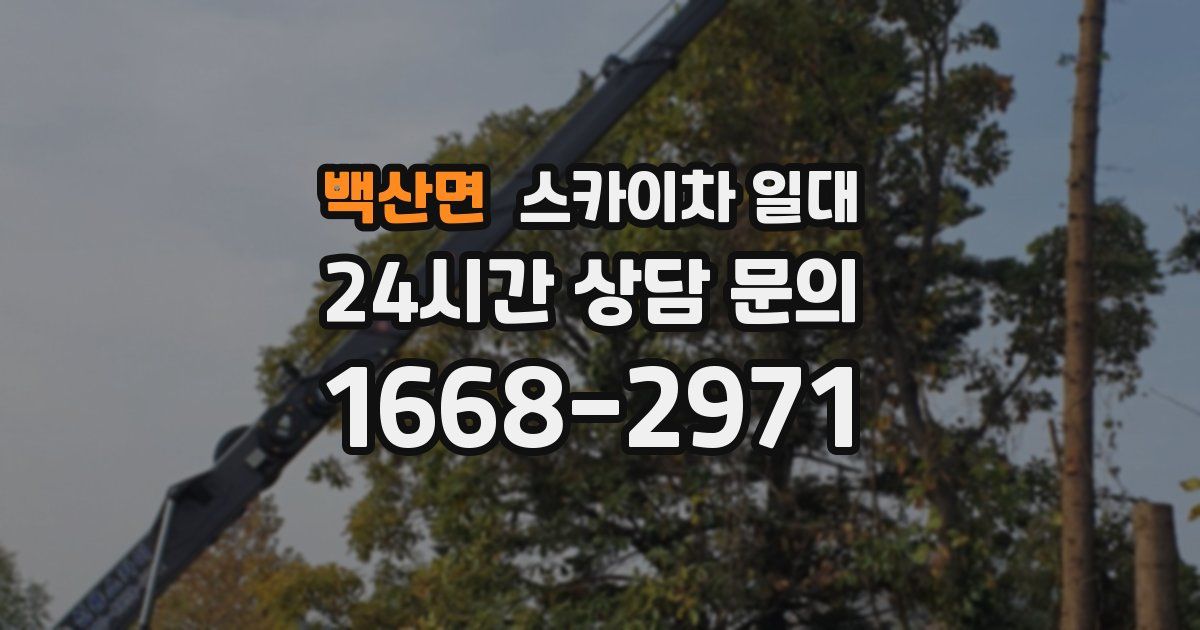 백산면 스카이차 일대