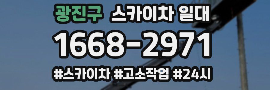 광진구 스카이차 일대