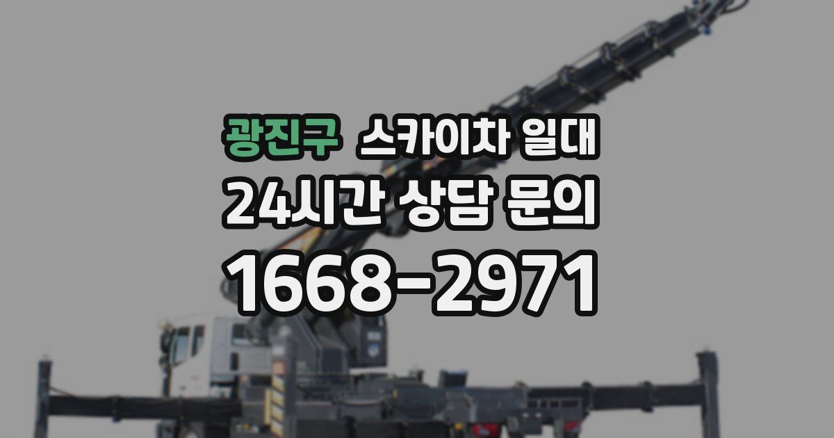 광진구 스카이차 일대