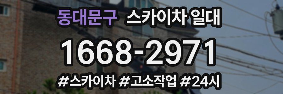 동대문구 스카이차 일대