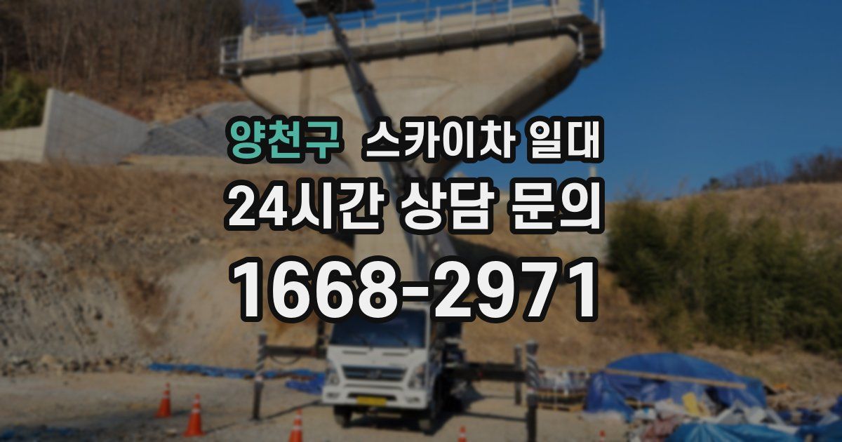 양천구 스카이차 일대