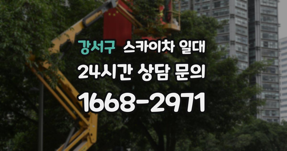 강서구 스카이차 일대