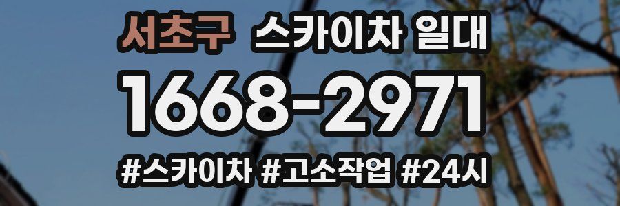 서초구 스카이차 일대