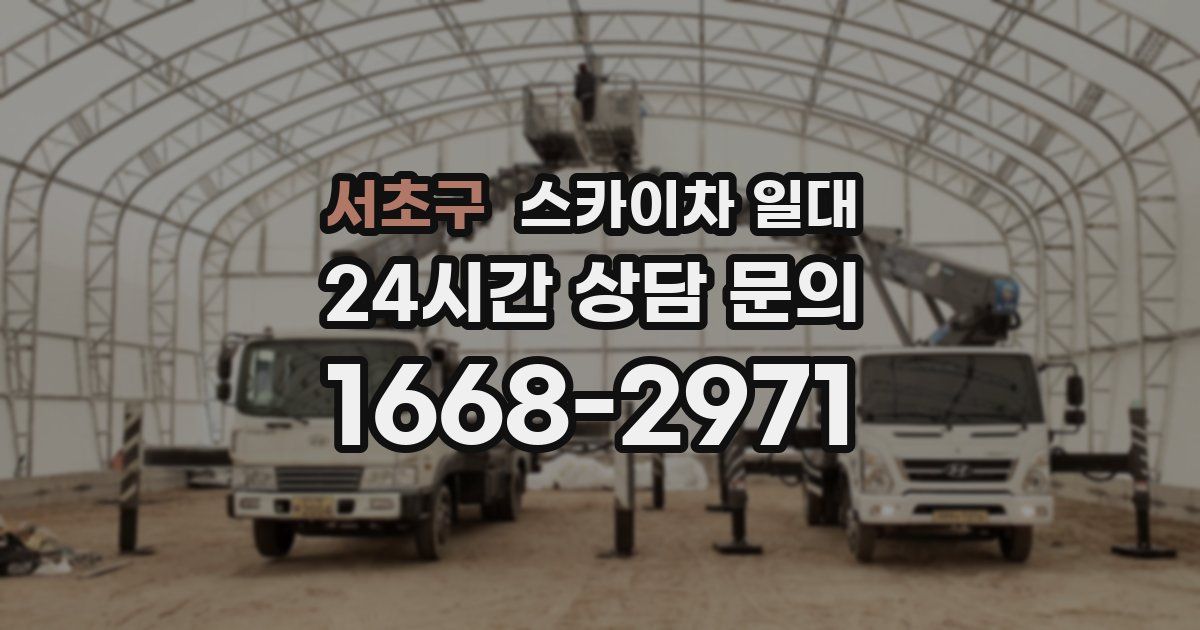 서초구 스카이차 일대