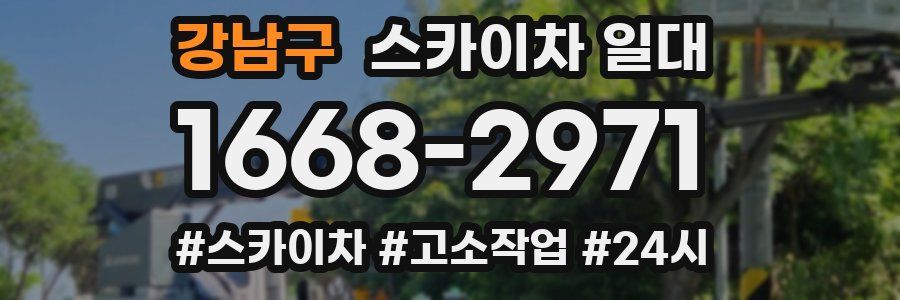 강남구 스카이차 일대