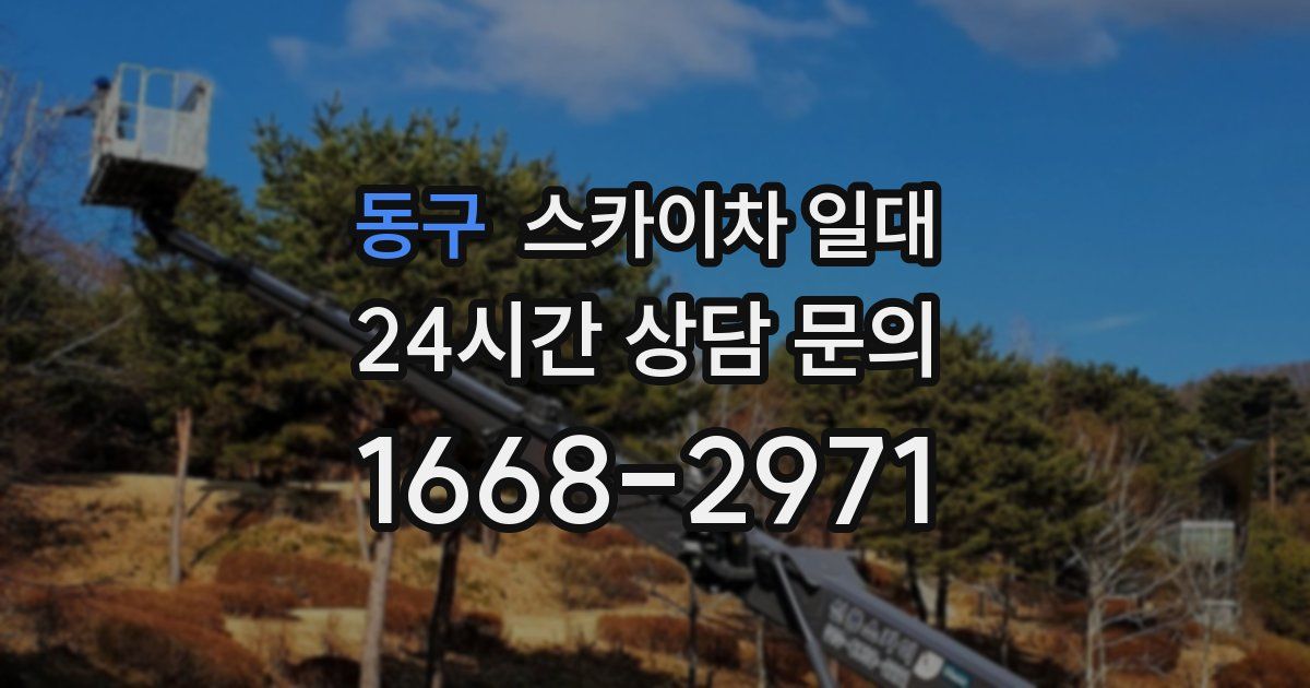 동구 스카이차 일대