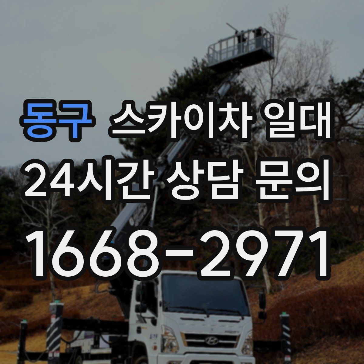 동구 스카이차 일대