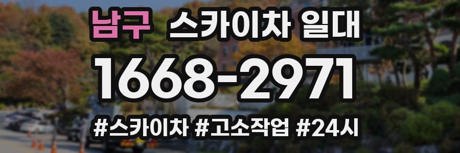 남구 스카이차 일대