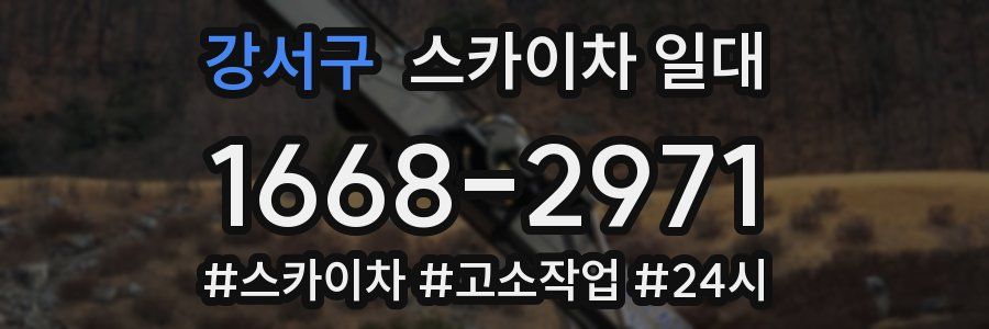 강서구 스카이차 일대