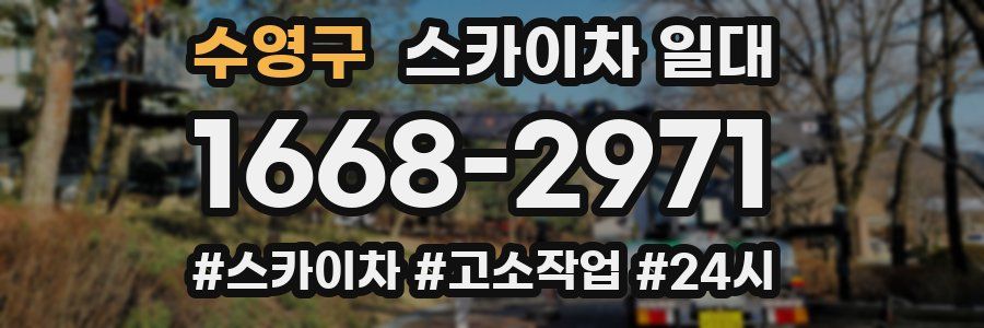 수영구 스카이차 일대