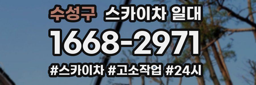 수성구 스카이차 일대
