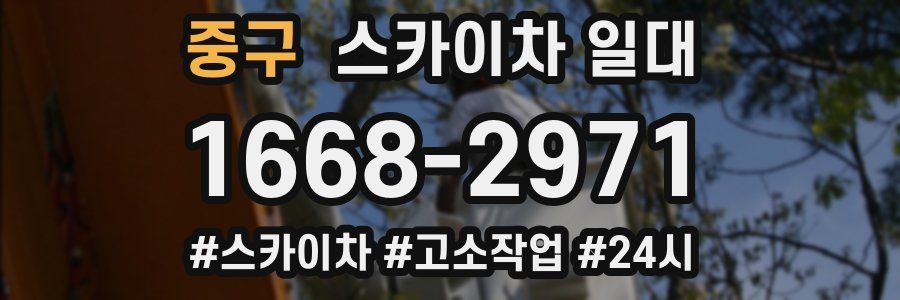 중구 스카이차 일대