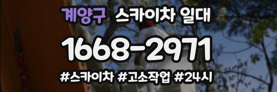 계양구 스카이차 일대