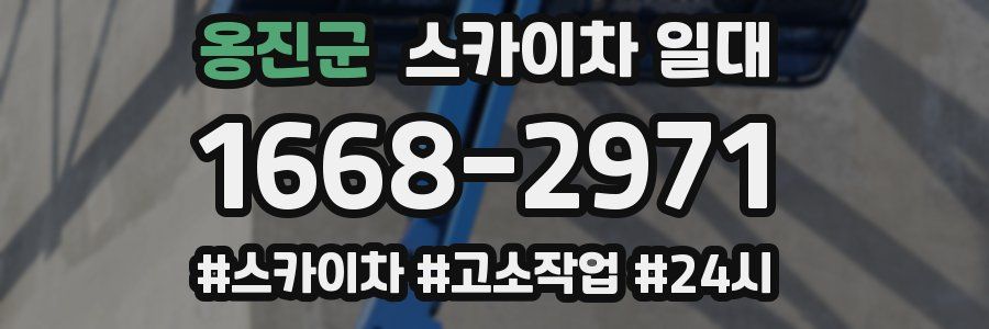 옹진군 스카이차 일대
