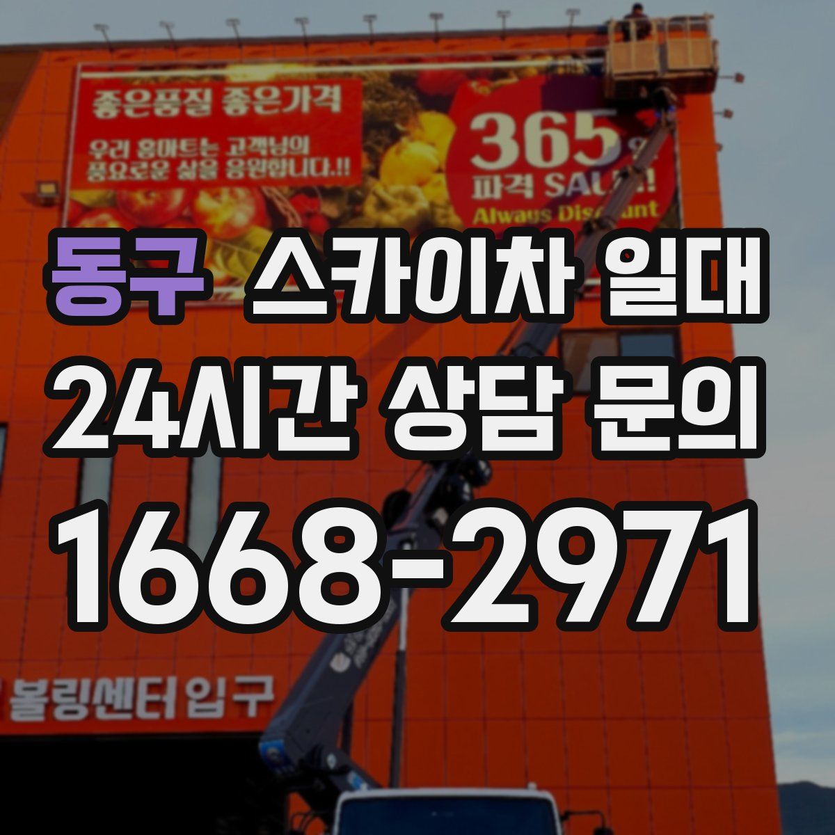 동구 스카이차 일대