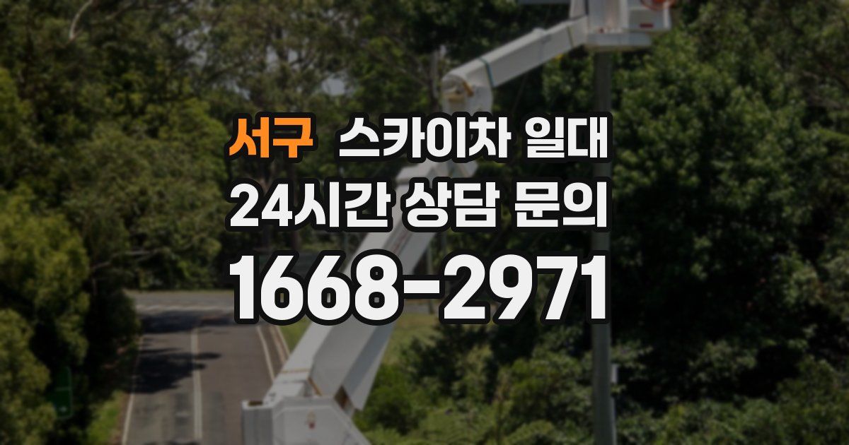 서구 스카이차 일대